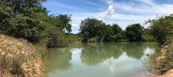 Gewerbliche Immobilie in Hua Hin, Thailand, Nr. 6264 5