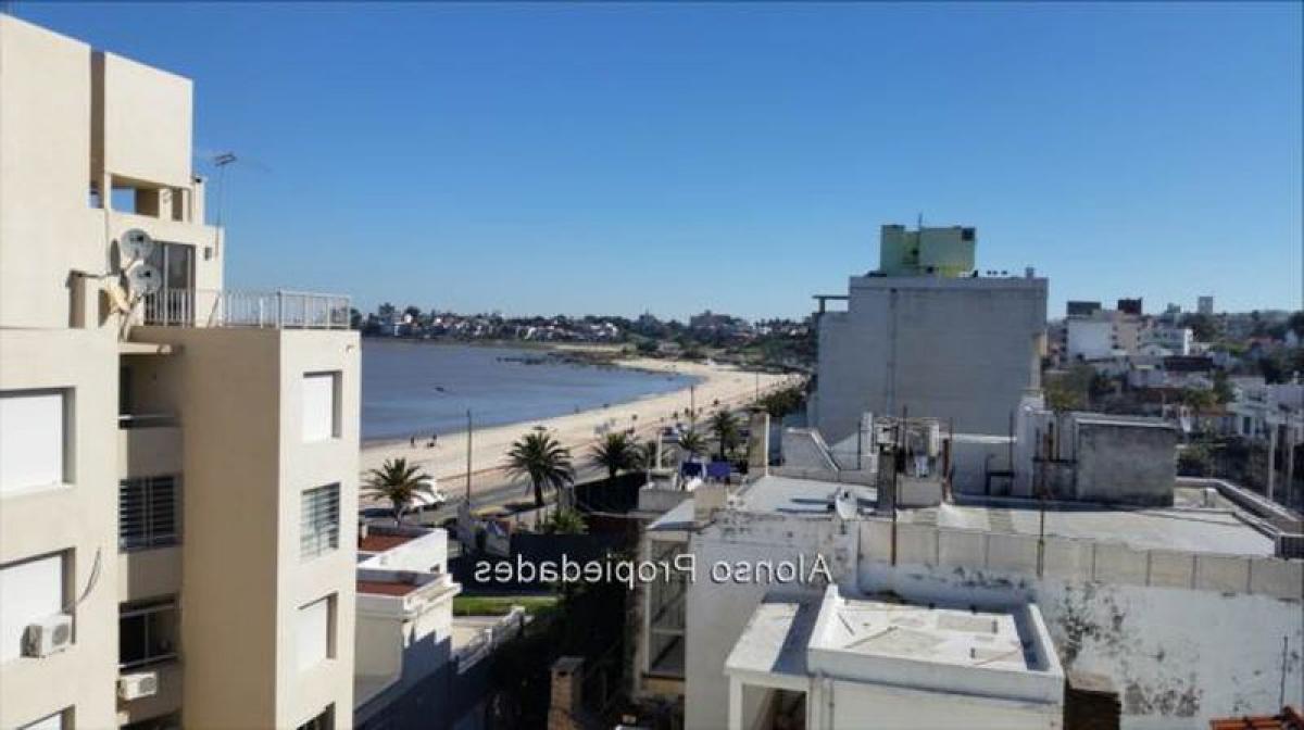 2 bedrooms Apartment in Montevideo, Uruguay No. 825
