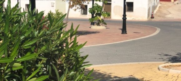 3 bedrooms Townhouse in San Miguel de Salinas, Spain No. 186431 3