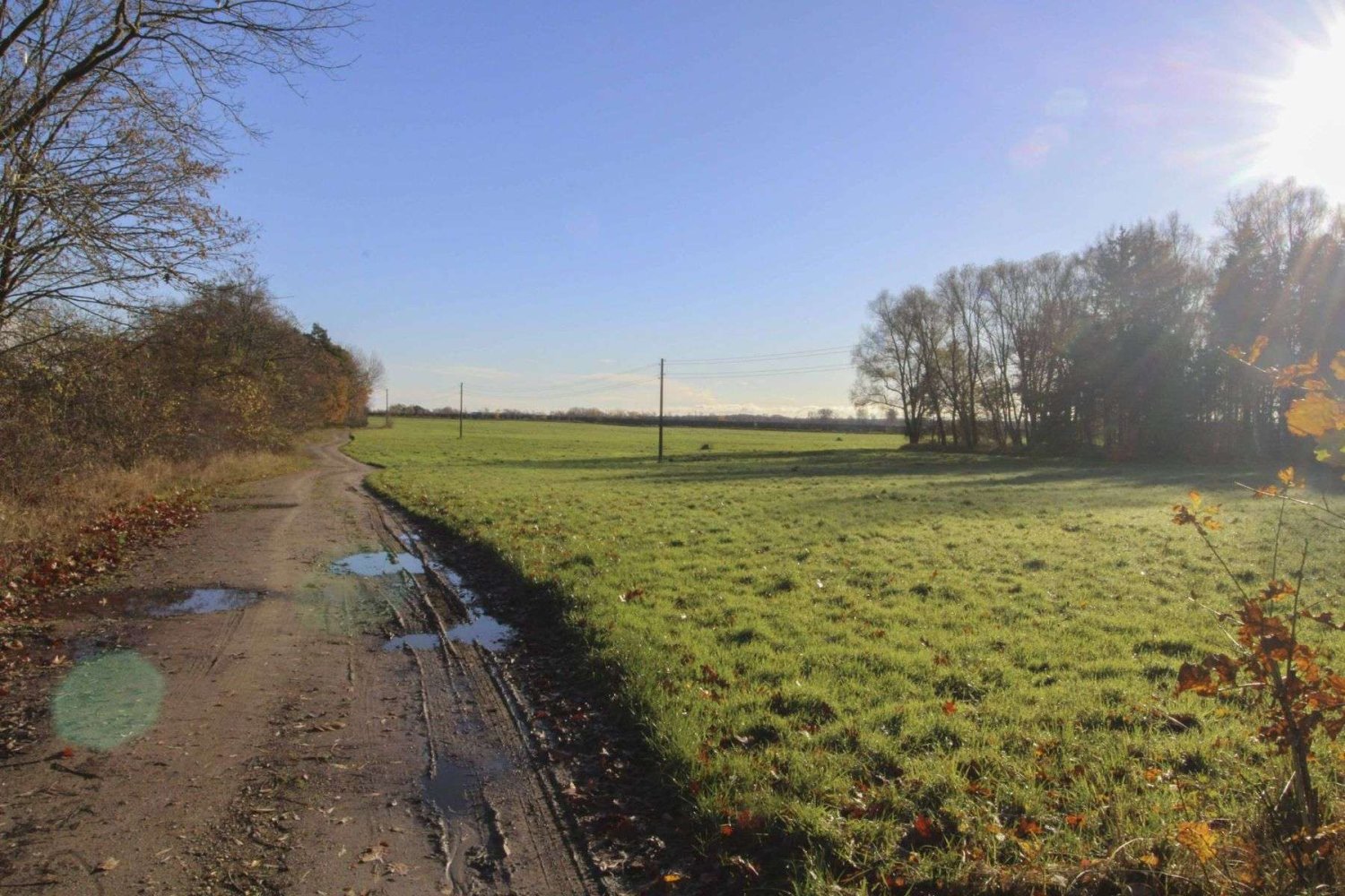  Land in Vorpommern-Rugen, Germany No. 219924