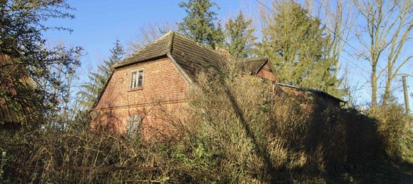  Land in Vorpommern-Rugen, Germany No. 219924 6