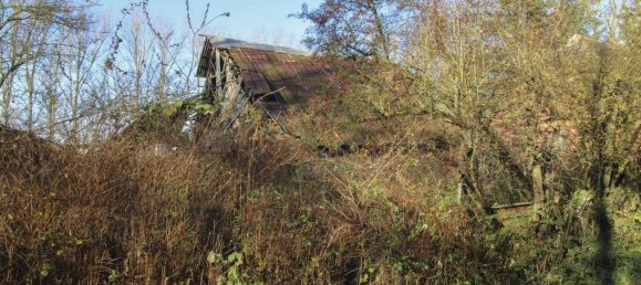  Land in Vorpommern-Rugen, Germany No. 219924 5