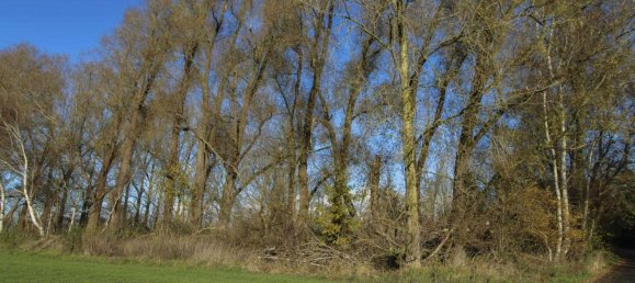  Land in Vorpommern-Rugen, Germany No. 219924 4