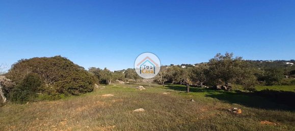 1410m² Land in Sao Bras de Alportel, Portugal No. 73383 17