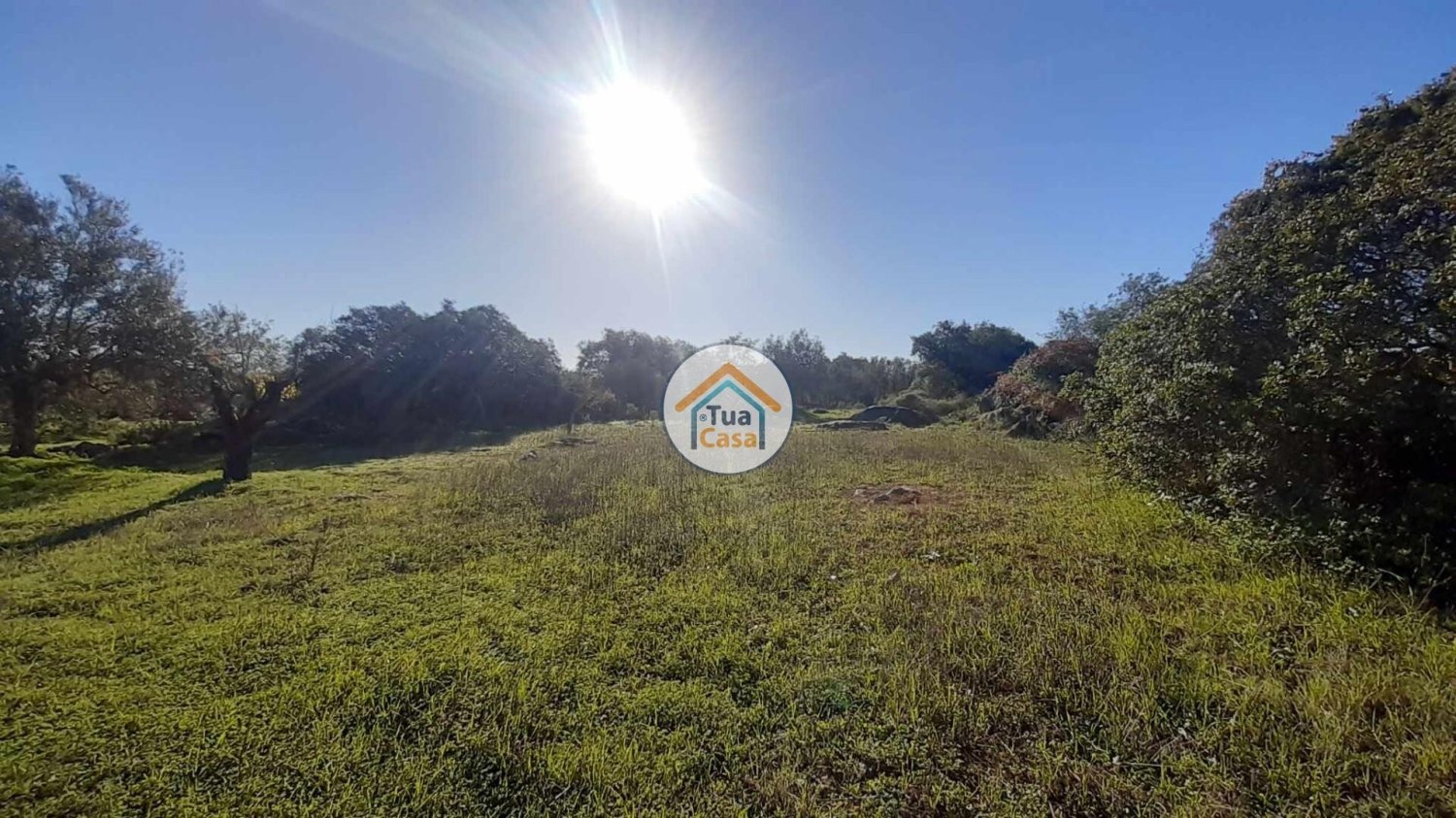 1410m² Land in Sao Bras de Alportel, Portugal No. 73383