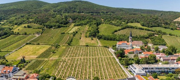 6-salle Maison à Gumpoldskirchen, Austria No. 138256 22