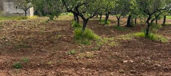 8000m² Land in San Vito dei Normanni, Italy No. 293522 3