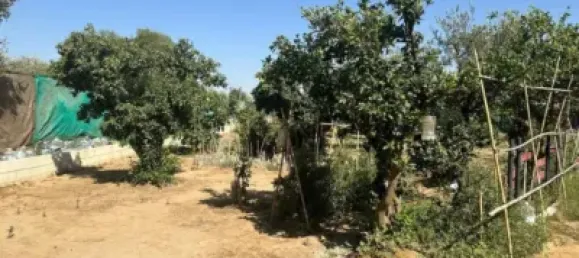 Земельный участок 1814м² в Андалусия, Испания № 187756 10