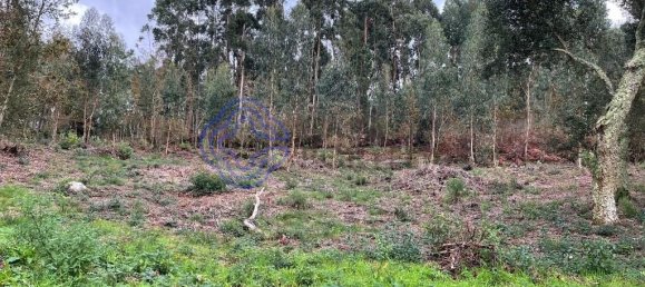 Casa de 3 dormitorios en Caminha, Portugal No. 87642 6