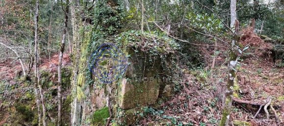 Casa de 3 dormitorios en Caminha, Portugal No. 87642 2