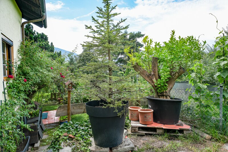 5-salle Maison à Innsbruck-Stadt, Austria No. 202282