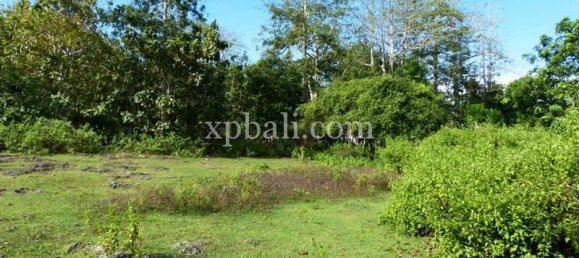 Terrain à South Kuta, Indonesia 1145m² No. 4139 2