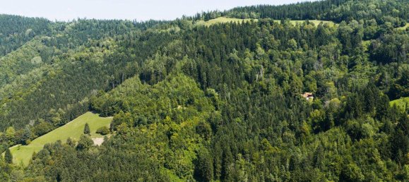 3-salle Maison à Kainach bei Voitsberg, Austria No. 221204 14