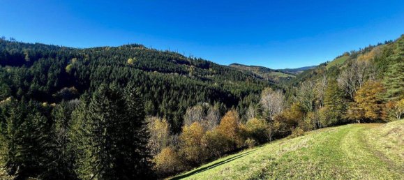 3-salle Maison à Kainach bei Voitsberg, Austria No. 221204 12