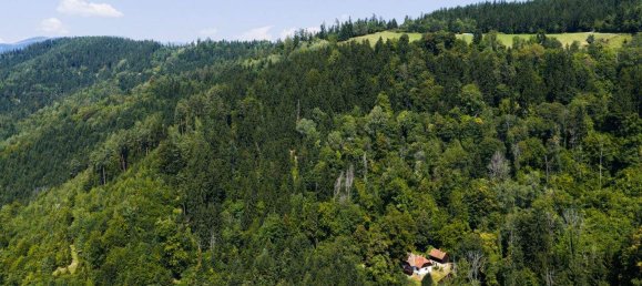3-salle Maison à Kainach bei Voitsberg, Austria No. 221204 15