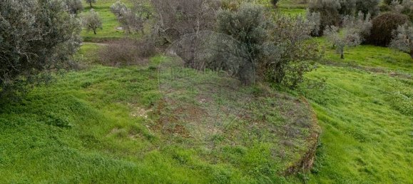 2 bedrooms House in Sardoal, Portugal No. 185390 10