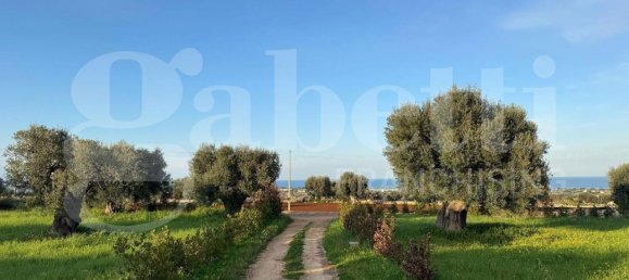 3 rooms Villa in Polignano a Mare, Italy No. 157998 2