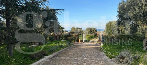 3 rooms Villa in Polignano a Mare, Italy No. 157998 41