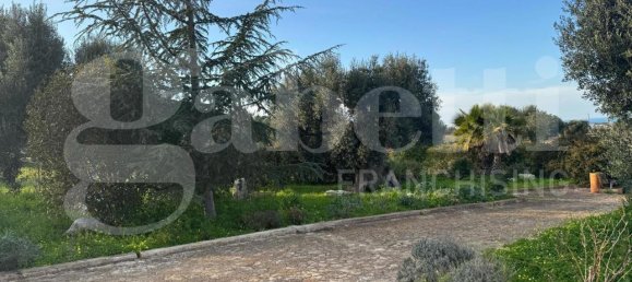 3 rooms Villa in Polignano a Mare, Italy No. 157998 43