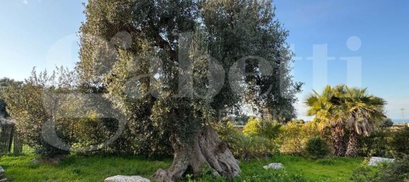 3 rooms Villa in Polignano a Mare, Italy No. 157998 37