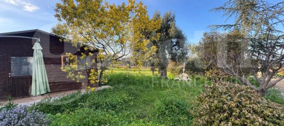 3 rooms Villa in Polignano a Mare, Italy No. 157998 36