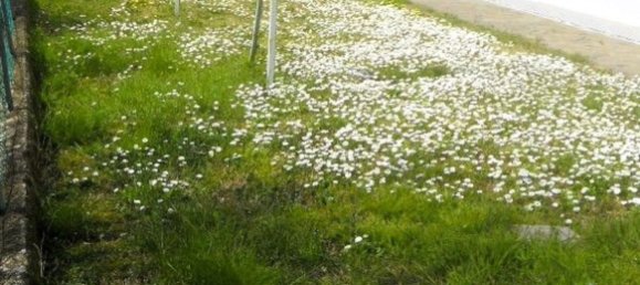 5 rooms Apartment in Reggio Emilia, Italy No. 7386 13