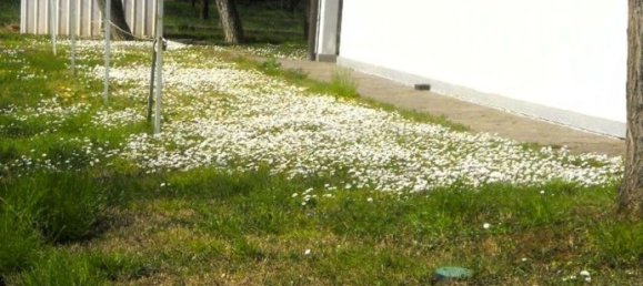 5 rooms Apartment in Reggio Emilia, Italy No. 7386 16