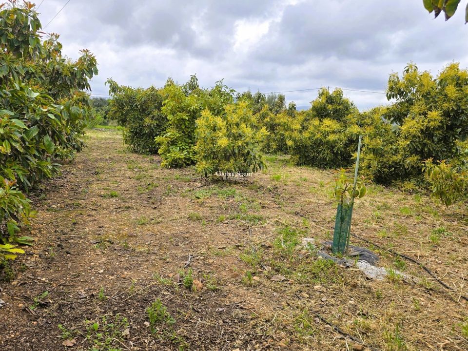 Terreno em Pego, Spain N.º 189103
