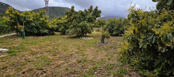 Terreno em Pego, Spain N.º 189103 3