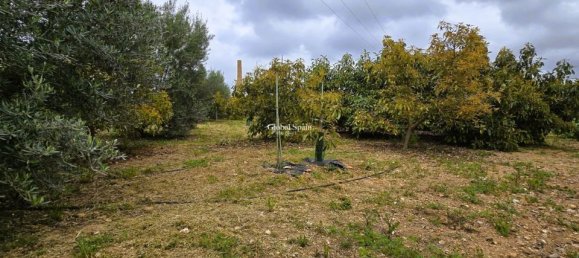 Terreno em Pego, Spain N.º 189103 4