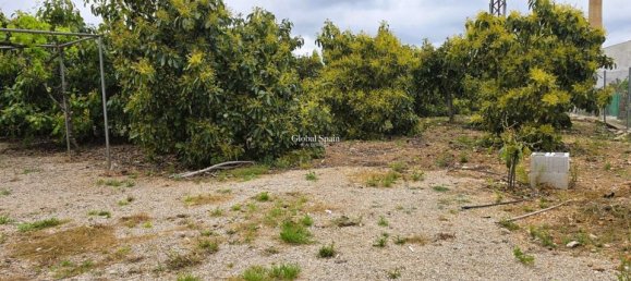 Terreno em Pego, Spain N.º 189103 11