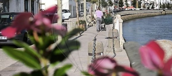 2 Schlafzimmer Haus in Alcacer do Sal, Portugal, Nr. 276347 2