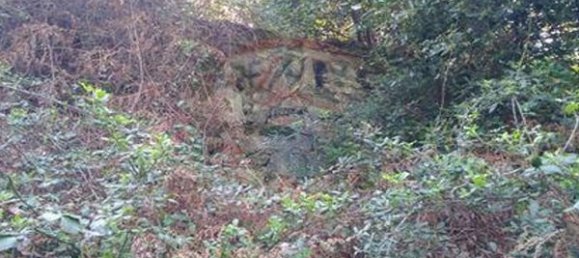 4 chambres Maison à Tarouquela, Portugal No. 89056 7