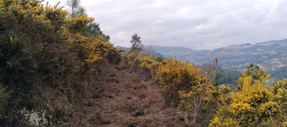 4 chambres Maison à Tarouquela, Portugal No. 89056 3