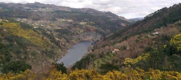 4 chambres Maison à Tarouquela, Portugal No. 89056 2