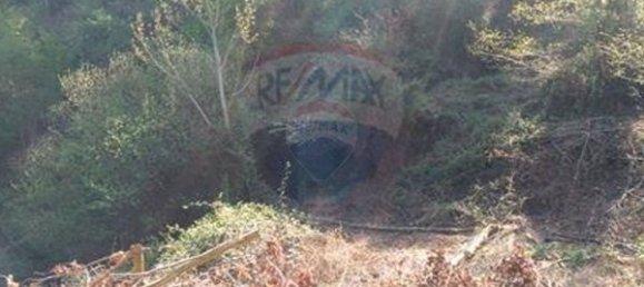 4 chambres Maison à Tarouquela, Portugal No. 89056 8