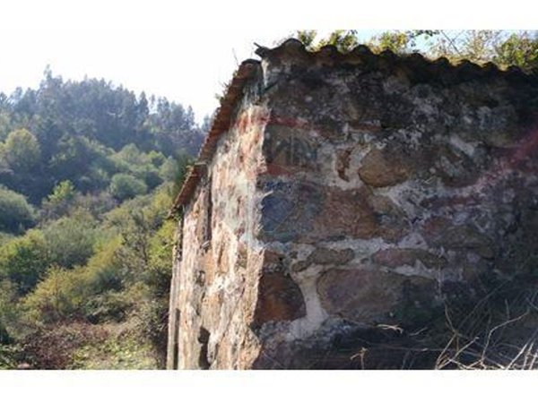 4 chambres Maison à Tarouquela, Portugal No. 89056