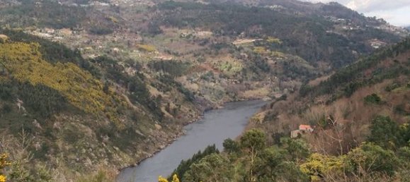 4 chambres Maison à Tarouquela, Portugal No. 89056 12