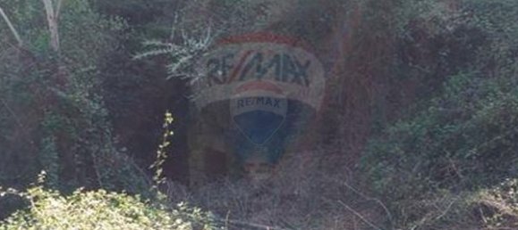 4 chambres Maison à Tarouquela, Portugal No. 89056 9