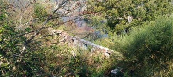 4 chambres Maison à Tarouquela, Portugal No. 89056 4