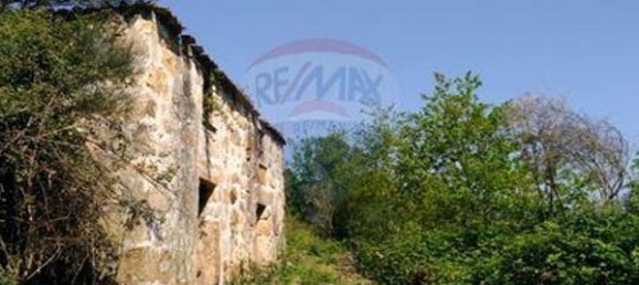 4 chambres Maison à Tarouquela, Portugal No. 89056 11