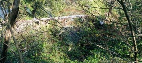 4 chambres Maison à Tarouquela, Portugal No. 89056 5