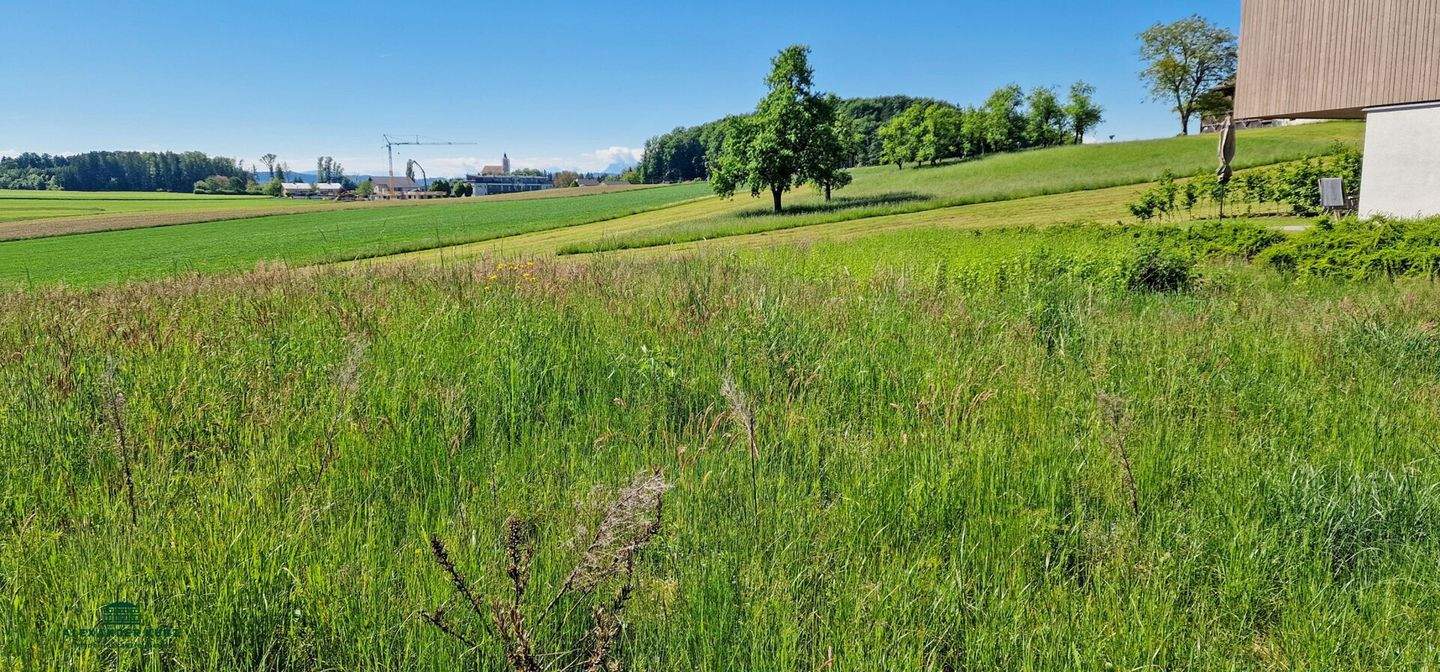 Terrain à Moosdorf, Austria No. 247414