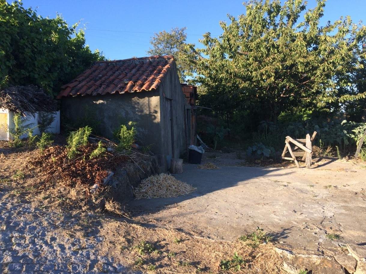  Land in Baiao, Portugal No. 50619