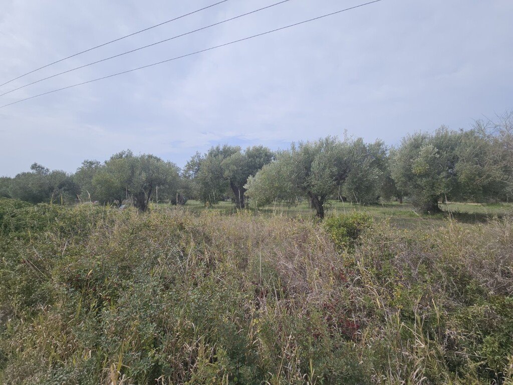 Grundstück in Chalkidiki, Greece 5100m², Nr. 93442