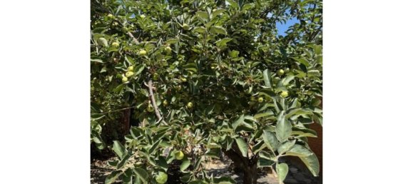 3 chambres Maison à Madrid, Spain No. 188115 26