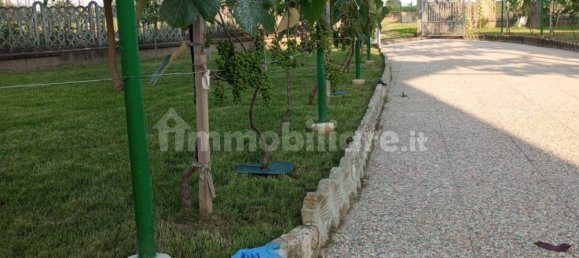 Вилла с 3 спальнями в Моретта, Италия № 379871 7