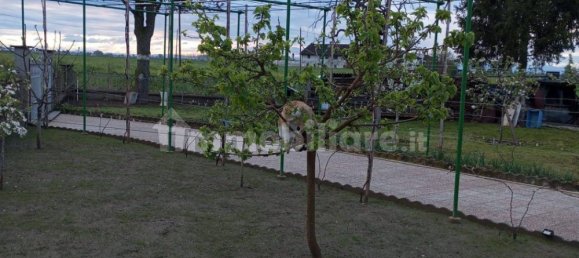 Вилла с 3 спальнями в Моретта, Италия № 379871 6