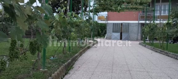 Вилла с 3 спальнями в Моретта, Италия № 379871 9