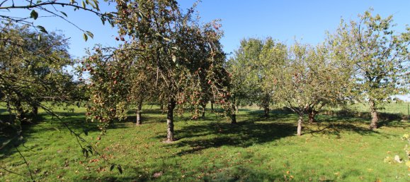 4 bedrooms House in La Ferte-Vidame, France No. 217825 11